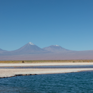 Laguna cejar