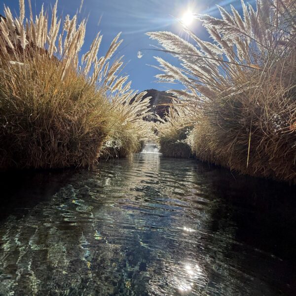 Termas de Puritama