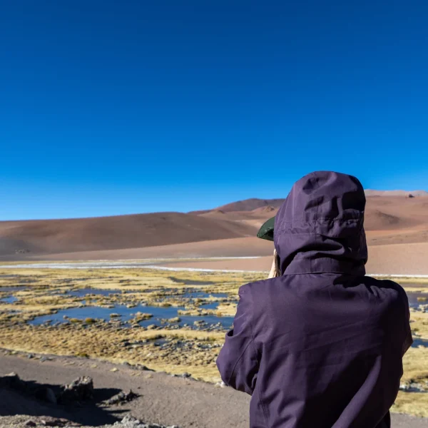Ruta de los Salares