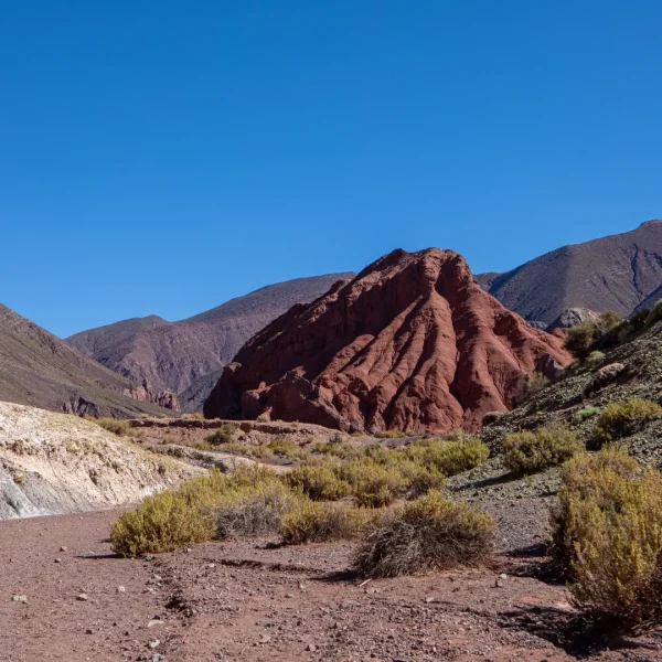 Tour Valle del Arcoíris - Image 3