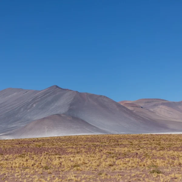 Tour Piedras Rojas y Lagunas Altiplánicas - Imagen 4